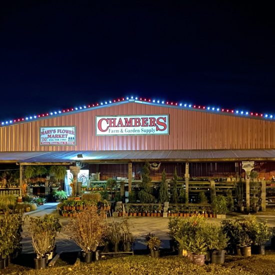 Commercial Holiday Lighting Installation