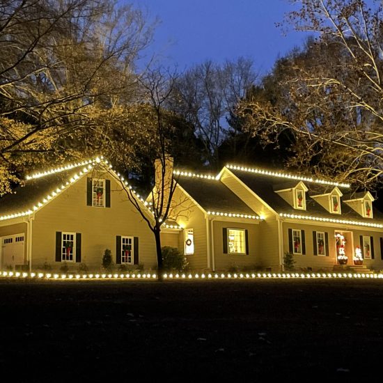 Best Outdoor Landscape Lighting