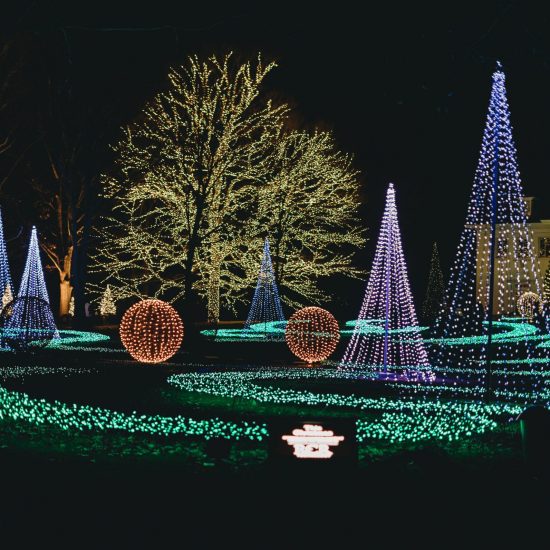 Christmas Lights Installation